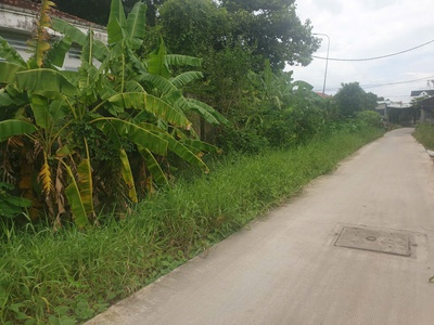 Bán đất bình chánh 8x18m full thổ, hoàng phan thái vô 50m ngay chợ bình chánh giá 35tr/m 1