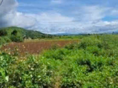 Bán 2009m2 đất tổ 32 thị trấn liên nghĩa đức trọng lâm đồng 0