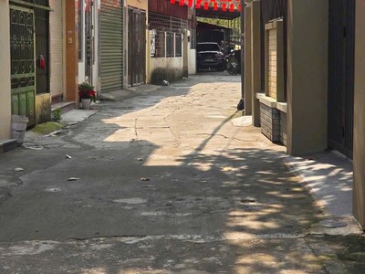 Bán đất ngõ 193 phố Bình Lộc, phường Tân Bình, TP HD, 77.4m2, mặt tiền 4m, ngõ thông oto 1