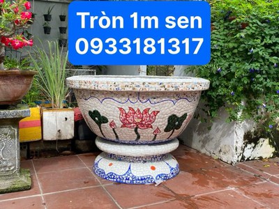 Nghệ nhân dán miễng sành sứ - ốp sành - chuyên chậu hoa - bể cá cảnh 5