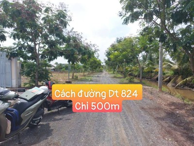 Bán đất 555m2- làm nhà vườn - homestay-nghĩ dưỡng- giá tốt cho anh chị mua ạ 1