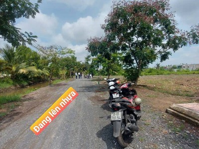 Bán đất 555m2- làm nhà vườn - homestay-nghĩ dưỡng- giá tốt cho anh chị mua ạ 3