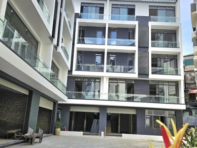 Bán biệt thự khu huỳnh thúc kháng - 136m  x 5 tầng - 3 thoáng - an sinh đỉnh - giá 55.5 tỷ 0