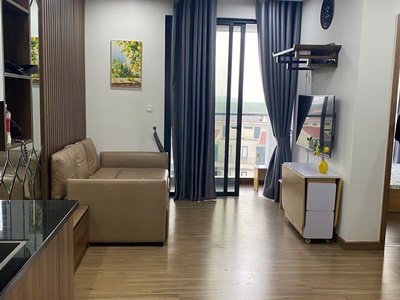 Bán căn hộ 2 ngủ ecopark tầng 6, view sông, full nội thất cao cấp, đang cho thuê 8tr/tháng   giá 3