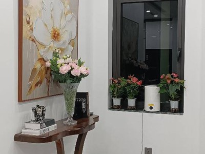 Bán nhà kim đồng biệt thự phân lô - thang máy 150m2 39 tỷ 3