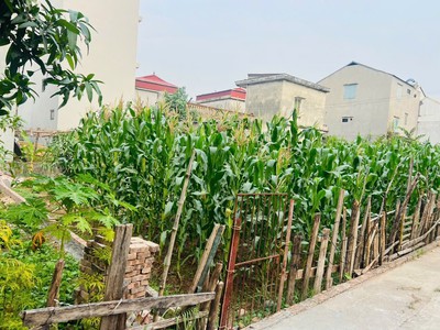  bán đất phường phúc lợi - long biên  1
