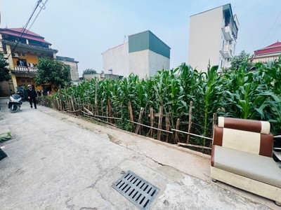  bán đất phường phúc lợi - long biên  3