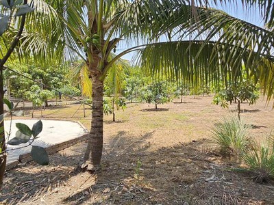 Siêu phẩm đất vườn long thuận   long phước, thủ đức 0