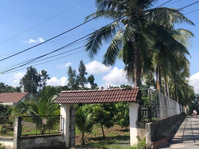 Siêu phẩm đất vườn long thuận   long phước, thủ đức 3
