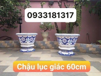 Nghệ nhân dán miễng sành sứ - ốp sành - chuyên chậu hoa - bể cá cảnh 9