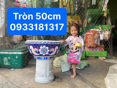 Nghệ nhân dán miễng sành sứ - ốp sành - chuyên chậu hoa - bể cá cảnh 15