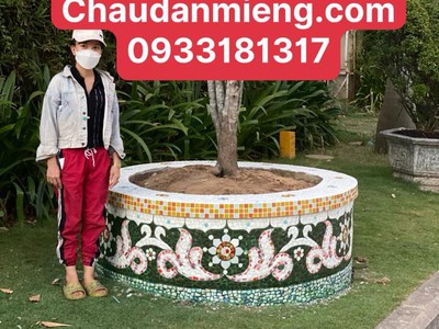 Nghệ nhân dán miễng sành sứ - ốp sành - chuyên chậu hoa - bể cá cảnh 18