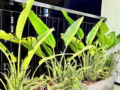 Hiếm có khó tìm KĐT Văn Khê 114m2, 3 ngủ, 2 vs chỉ 4.45 tỷ 5
