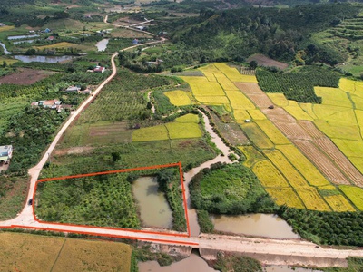 Đất đẹp - giá tốt - vị trí đắc địa tại xã đinh lạc, huyện di linh, lâm đồng 1