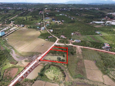 Đất đẹp - giá tốt - vị trí đắc địa tại xã đinh lạc, huyện di linh, lâm đồng 2