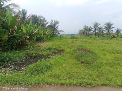 Duy nhất 1 lô   sát vinhomes 197ha đang thi công 0