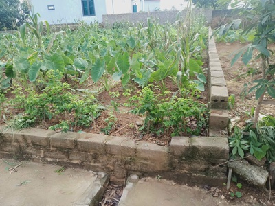 Đất tuy lai, mỹ đức, hà nội, 90m2 full thổ, đường thông 2