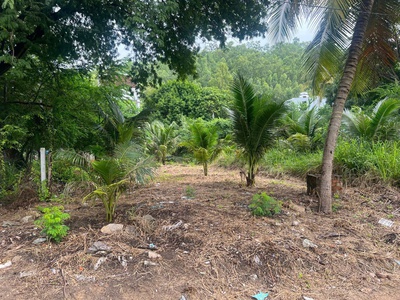 Bán lô đất full thổ ngang 8m view sông   sát kdl tắm khoáng bùn nha trang 2