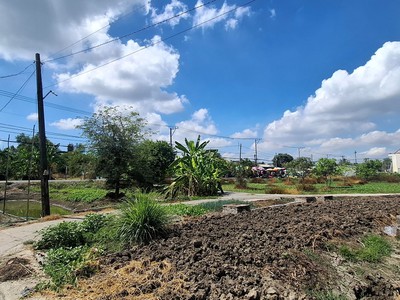 Bán đất thổ vườn Tân Liễu, Hưng Long, Bình Chánh 2300m 4