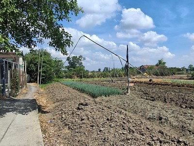 Bán đất thổ vườn Tân Liễu, Hưng Long, Bình Chánh 2300m 5