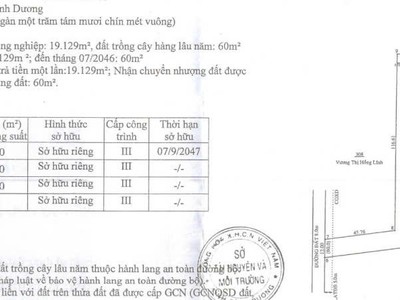 Cho thuê nhà xưởng 11.120 m2 An Tây, Bến Cát, Bình Dương 0