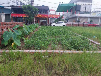 Đất quang minh, 75m2, mt5.5m, lô góc, 5.2 tỷ. mê linh. 3