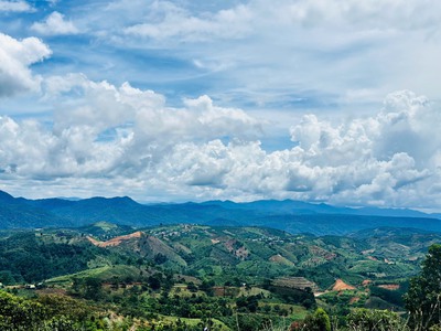 550 triệu sỏ hữa 1 sào đất tại lộc bắc - view nghĩ dưỡng siêu đẹp 3