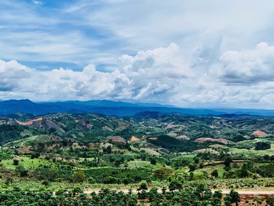 550 triệu sỏ hữa 1 sào đất tại lộc bắc - view nghĩ dưỡng siêu đẹp 2