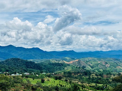 550 triệu sỏ hữa 1 sào đất tại lộc bắc - view nghĩ dưỡng siêu đẹp 1