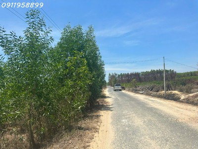 Bán 27 x 47m đất mặt tiền lý nam đế, thị xã lagi giá ngộp 100tr/m ngang 0