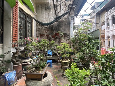 Giảng Võ Mặt Tiền 11M Ô TÔ Tránh Đỗ 135M2 4 Tầng 65 Tỷ View Thoáng vĩnh viễn 4