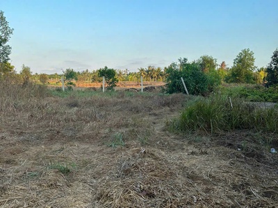 4800m2 đất xã An Thạnh, Bến Lức giá 9 tỷ 2