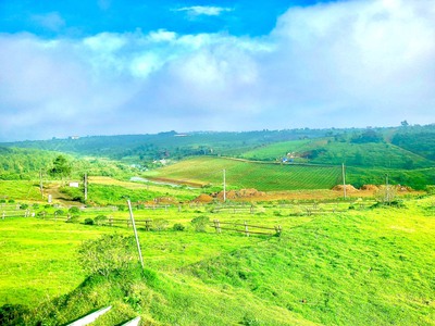 200m2 đất Bảo Lộc giá 2,3 tỷ tặng kèm nhà phi thuyền 0