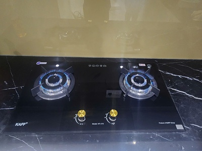  Bếp gas cao cấp  1