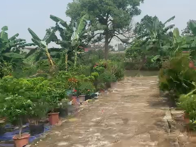 Bán đất 50m  khu tân hưng hải dương, ô tô vào tận nơi   giá chỉ 6xx triệu 0