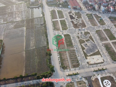 Bán đất đấu giá thuỵ lâm đông anh - rẻ, siêu đẹp, cực tiềm năng 4