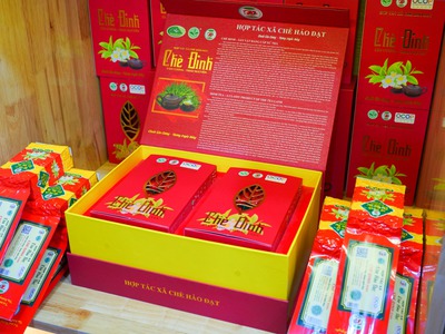 Chè Đinh   HTX CHÈ HẢO ĐẠT tại Thanh Hoá 2