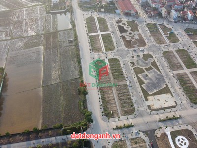 Bán đất đấu giá thuỵ lâm đông anh - rẻ, siêu đẹp, cực tiềm năng 1