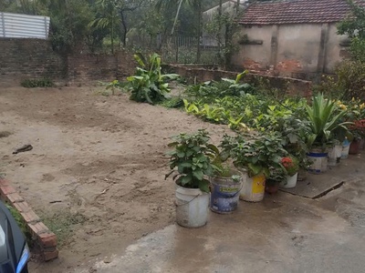 Bán đất nỏ bạn, vân tảo, thường tín 2