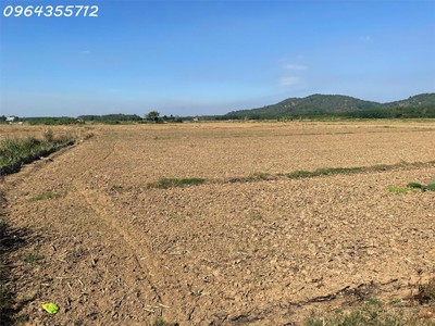 Đất cần giờ cần thanh lí gấp 0
