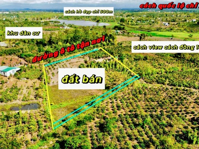 Ea drông- thị xã buôn hồ-đắk lắk dt 8000m2 sẵn 400m2 thổ cư sẵn nhà full vải tiêu, cà phê, cau.. 0