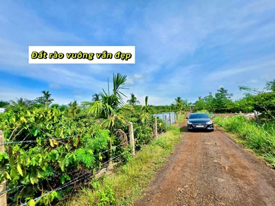 Ea drông- thị xã buôn hồ-đắk lắk dt 8000m2 sẵn 400m2 thổ cư sẵn nhà full vải tiêu, cà phê, cau.. 1