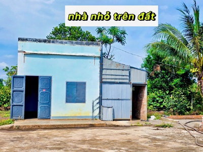 Ea drông- thị xã buôn hồ-đắk lắk dt 8000m2 sẵn 400m2 thổ cư sẵn nhà full vải tiêu, cà phê, cau.. 4