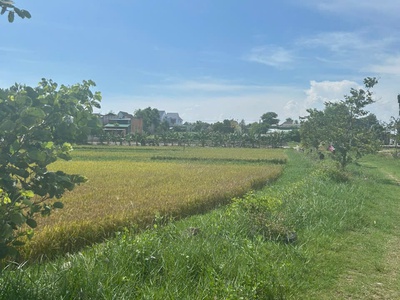 Chỉ 610 triệu/ sào đất tân bình, thị xã lagi cách biển 2km 0