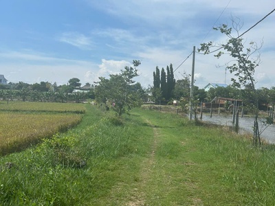 Chỉ 610 triệu/ sào đất tân bình, thị xã lagi cách biển 2km 1
