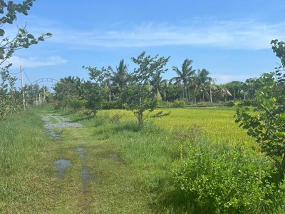 Chỉ 610 triệu/ sào đất tân bình, thị xã lagi cách biển 2km 3