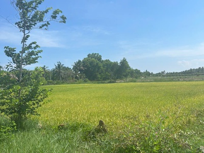 Chỉ 610 triệu/ sào đất tân bình, thị xã lagi cách biển 2km 4