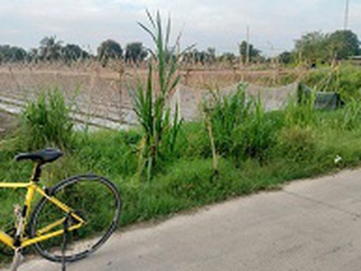 Chính chủ cần chuyển nhượng đất thổ cư tại đức lập hạ   long an 1