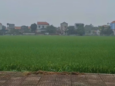 Chính chủ cần bán đất ở đường tư thức - xã nga thiện - huyện nga sơn- thanh hóa 2