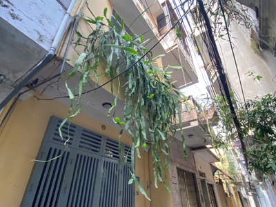 Bán nhà phố kim mã, ba đình, gần phố, ngõ thoáng rộng, sổ đẹp, 38m, 4 tầng, 8.4 tỷ 0